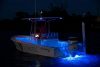 Lumitec SeaBlaze Quattro LED Underwater Light - Spectrum  (6db)