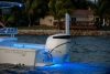 Lumitec SeaBlaze Quattro LED Underwater Light - White/Blue  (6db)